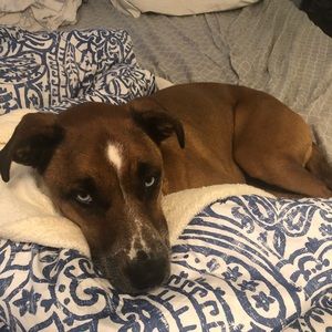 Meet your Posher, Brynna